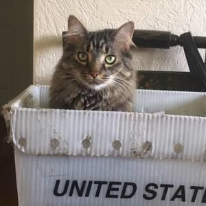 Meet your Posher, Sharon